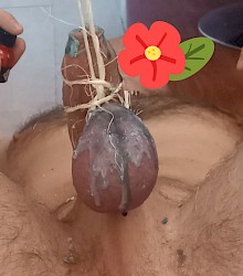 Madam Anna z Poděbrad